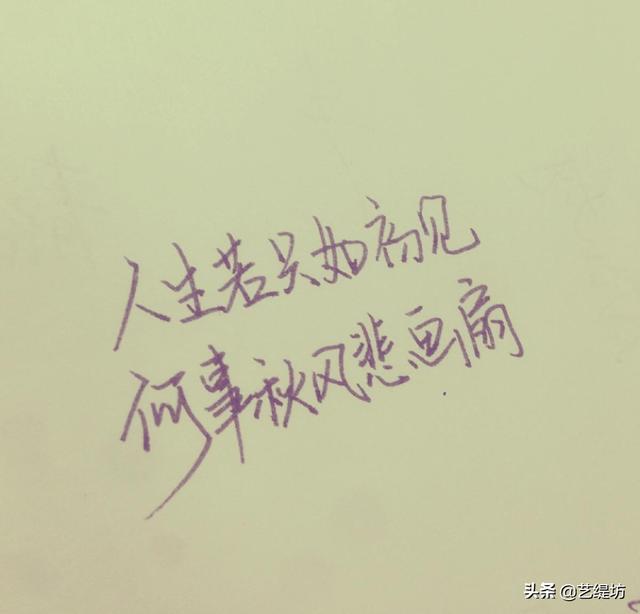 人生若只初相见下载_人生若只初相见app