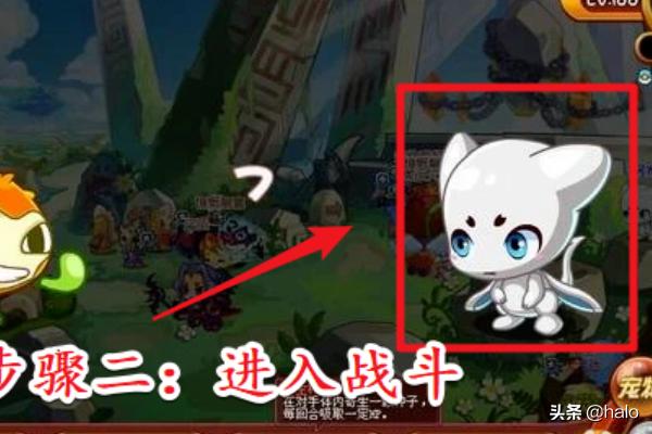 洛克王国阿布怎么得（洛克王国阿布怎么得到）