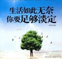 你能走出来吗攻略（你能走出来吗2）